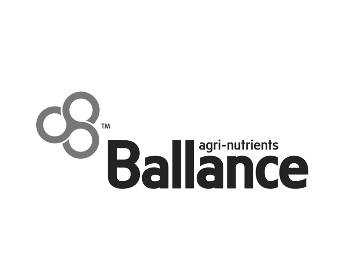 client-balance