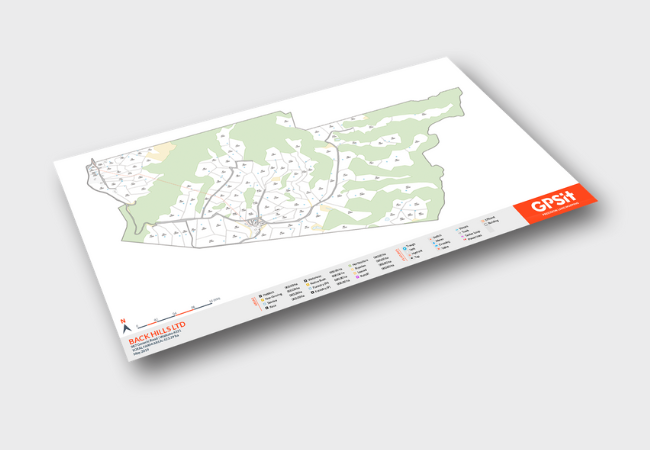 poly-paper-outline